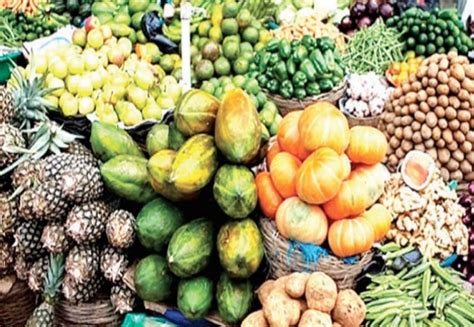  Indigenous Knowledge for Food Security: A Bountiful Harvest from Nigeria